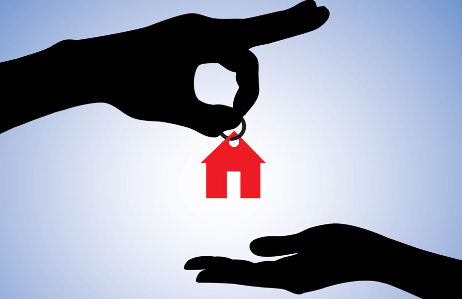 Insinuación para Donación de Bienes Inmuebles